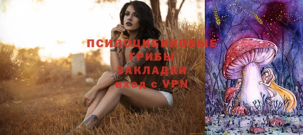 первитин Горнозаводск