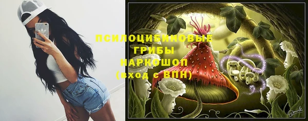ешки Вязьма