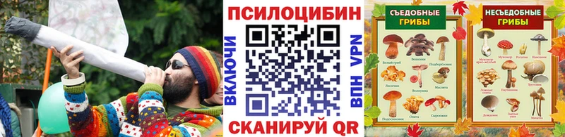 Галлюциногенные грибы Psilocybine cubensis  кракен как зайти  Избербаш  купить наркоту 